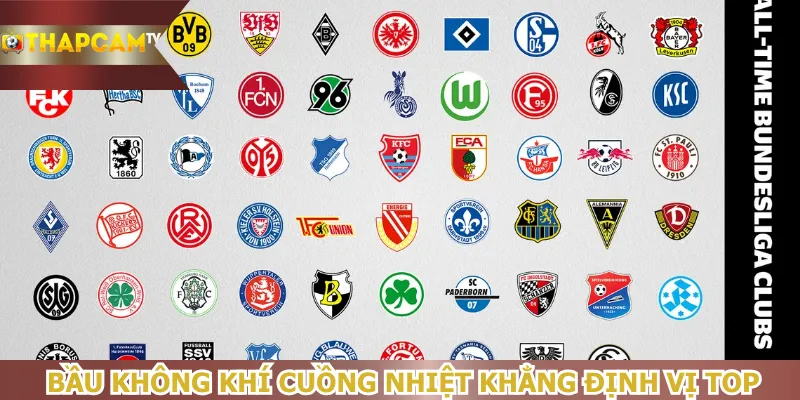 bau-khong-khi-cuong-nhiet-khang-dinh-vi-top