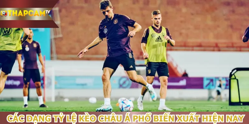 cac-dang-ty-le-keo-chau-a-pho-bien-xuat-hien-nay
