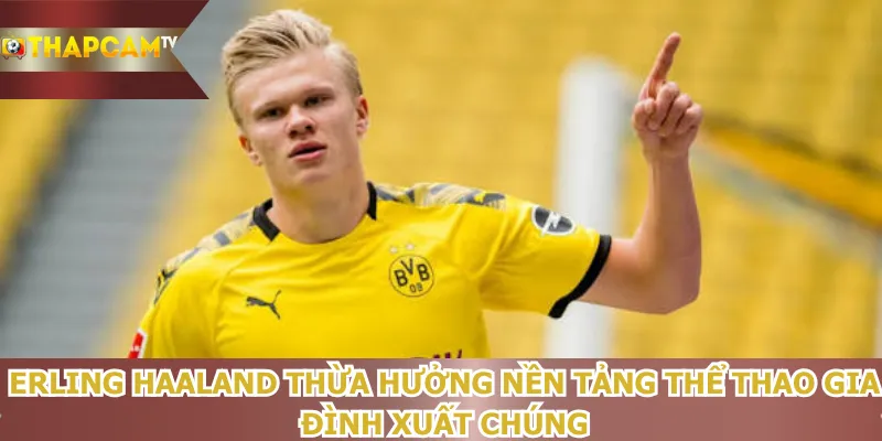 erling-haaland-thua-huong-nen-tang-the-thao-gia-dinh-xuat-chung