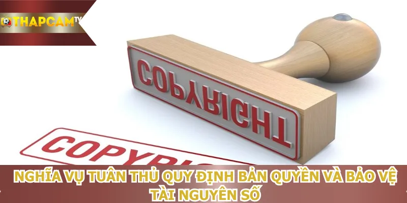 nghia-vu-tuan-thu-quy-dinh-ban-quyen-va-bao-ve-tai-nguyen-so
