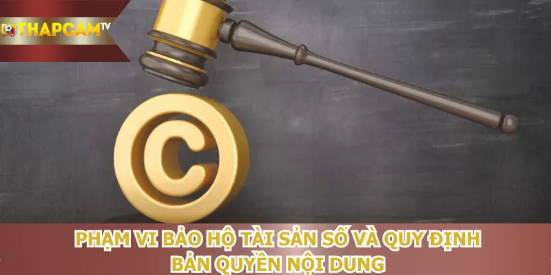 pham-vi-bao-ho-tai-san-so-va-quy-dinh-ban-quyen-noi-dung