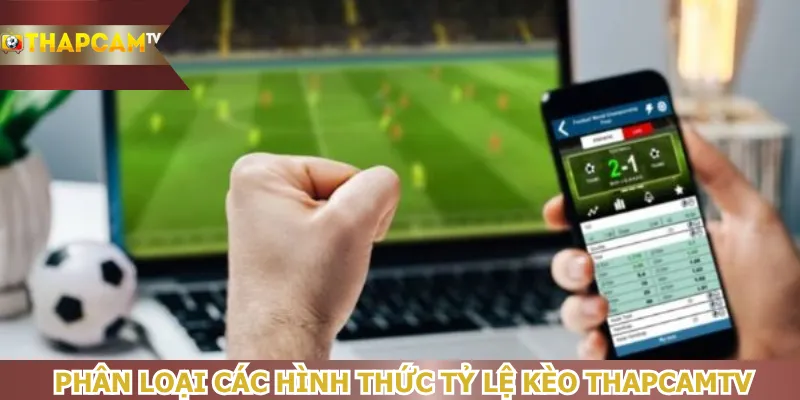 phan-loai-cac-hinh-thuc-ty-le-keo-thapcamtv